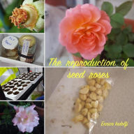 Title: The reproduction of seed roses, Author: Enrico Indolfi