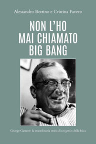 Title: Non l'ho mai chiamato Big Bang, Author: Alessandro Bottino