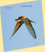 Title: I colori del volo, Author: Augusto Galli