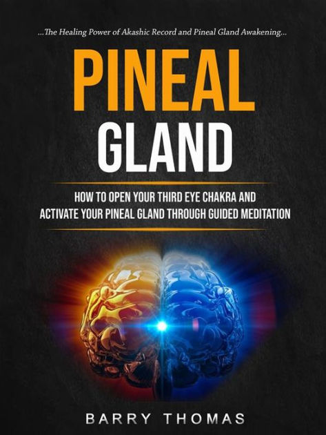 Pineal Gland: How to Open Your Third Eye Chakra and Activate Your ...