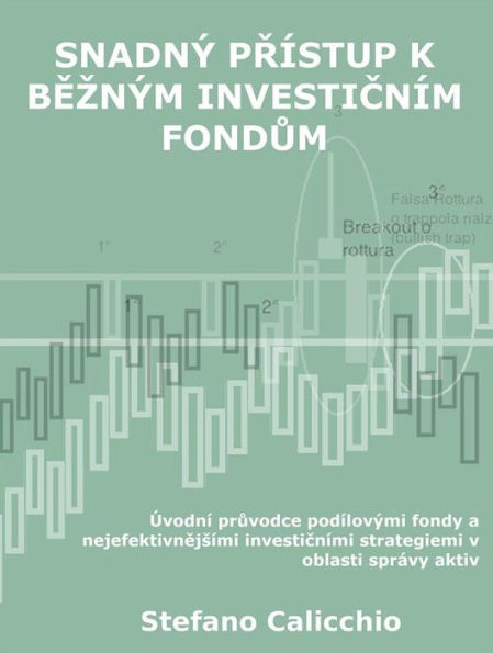 Snadný prístup k bezným investicním fondum: Úvodní pruvodce podílovými fondy a nejefektivnejsími investicními strategiemi v oblasti správy aktiv