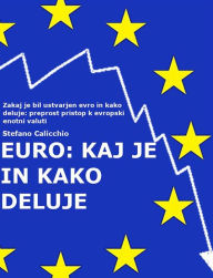 Title: Euro: kaj je in kako deluje: Zakaj je bil ustvarjen evro in kako deluje: preprost pristop k evropski enotni valuti, Author: Stefano Calicchio
