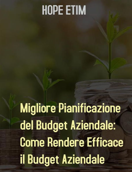 Migliore Pianificazione del Budget Aziendale: Come Rendere Efficace il Budget Aziendale