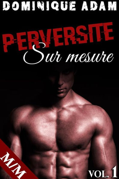 Perversité Sur Mesure Vol. 1