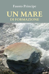 Title: Un mare di formazione: Piccola guida pratica per navigare sicuri nella docenza della formazione d'aula., Author: Fausto Principe