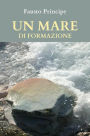 Un mare di formazione: Piccola guida pratica per navigare sicuri nella docenza della formazione d'aula.