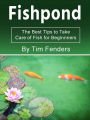 Fishpond: The Best Tips to Take Care of Fish for Beginners