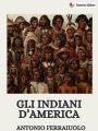Gli indiani d'America