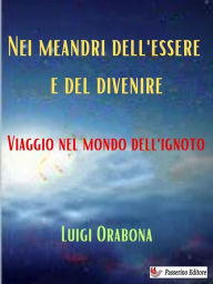 Title: Nei meandri dell'essere e del divenire: Viaggio nel mondo dell'ignoto, Author: Luigi Orabona