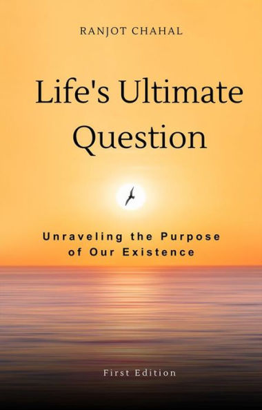 Life's Ultimate Question: Unraveling the Purpose of Our Existence