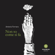 Title: Non so come si fa, Author: Antonio Ferrara