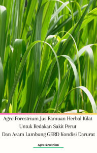 Title: Agro Forestrium Jus Ramuan Herbal Kilat Untuk Redakan Sakit Perut Dan Asam Lambung GERD Kondisi Darurat, Author: Agro Forestrium