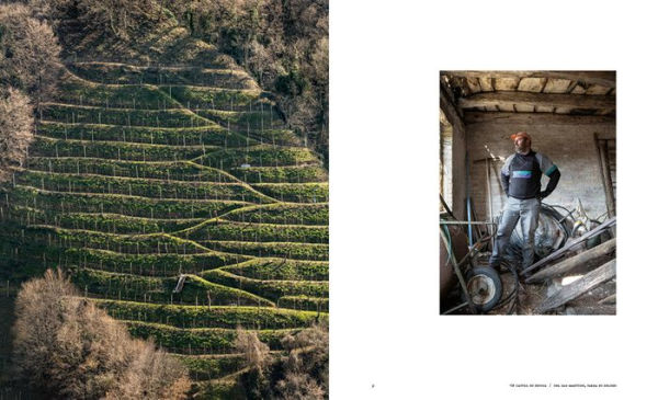 Caring for the Countryside: The Prosecco Hills of Conegliano and Valdobbiadene