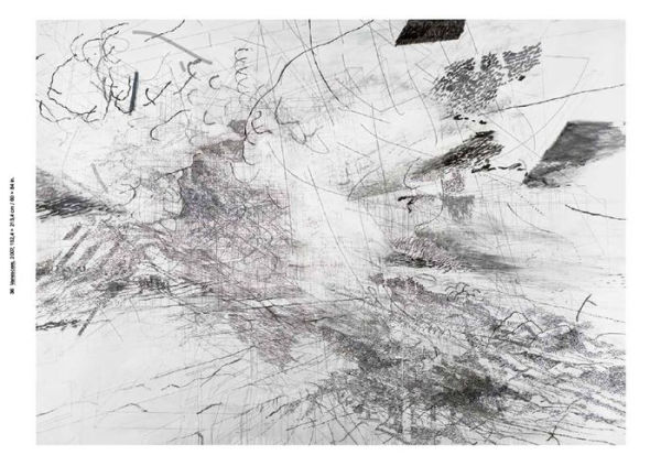 Julie Mehretu