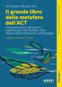 Il grande libro delle metafore dell'ACT: Una guida pratica agli esercizi esperienziali e alle metafore nella terapia dell'accettazione e dell'impegno