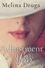 Adjustment Year
