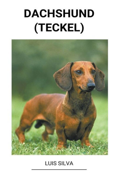 Dachshund (Teckel)