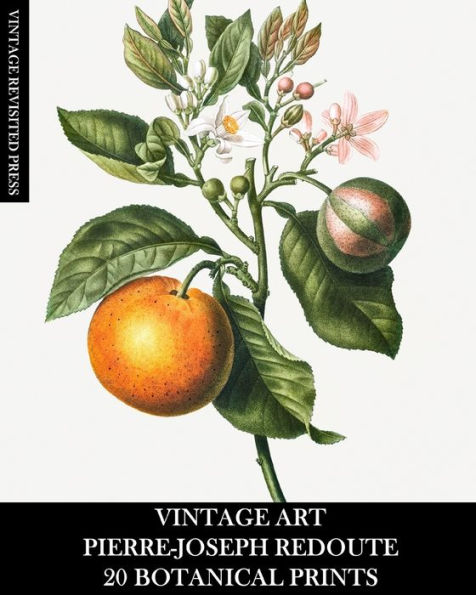 Vintage Art: Pierre-Joseph Redoute: 20 Botanical Prints