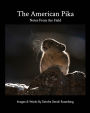 The American Pika: notes from the field