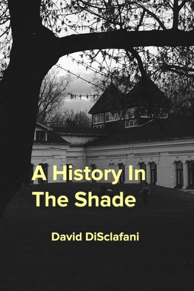 A History In The Shade