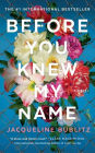 Before You Knew My Name (Large Print)