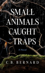 Electronic books downloads free Small Animals Caught in Traps: A Novel by C. B. Bernard 9798212876797