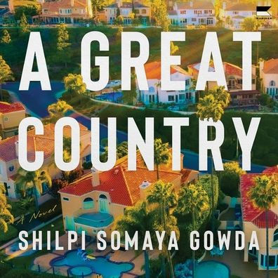 A Great Country: A Novel