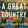 A Great Country: A Novel