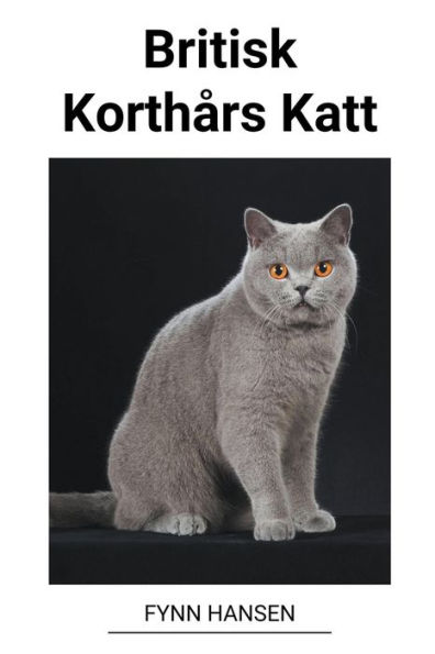 Britisk Korthårs Katt