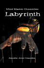 Mind Master Chronicles: Labyrinth