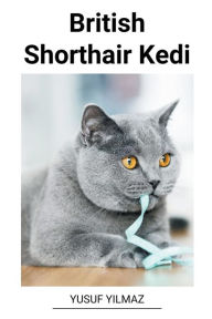 Title: British Shorthair Kedi, Author: Yusuf Yilmaz