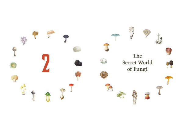 Fungi Decoded: Adventures in the Mycosphere--Encounters with Thirty Fungi