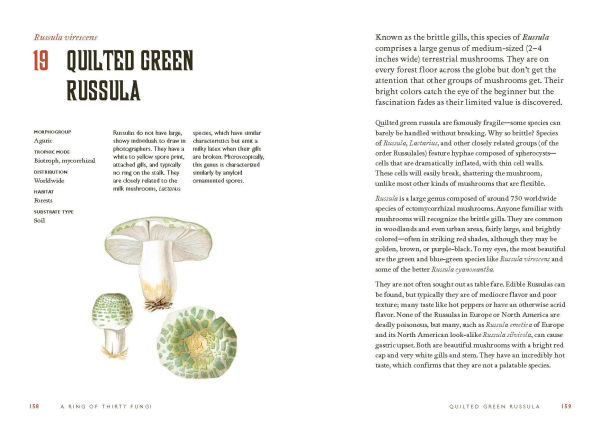 Fungi Decoded: Adventures in the Mycosphere--Encounters with Thirty Fungi