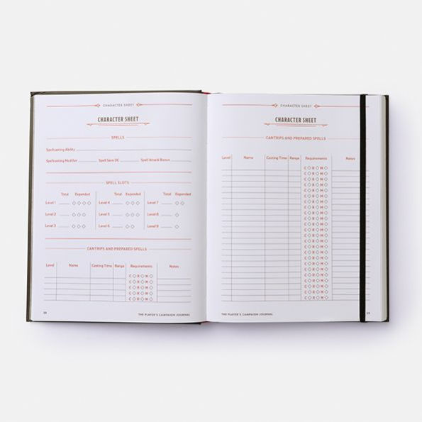 The Player's Campaign Journal (Dungeons & Dragons)