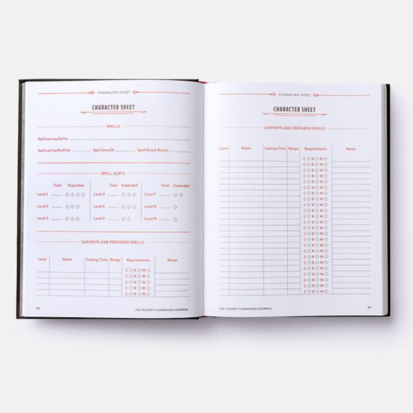 The Player's Campaign Journal (Dungeons & Dragons)