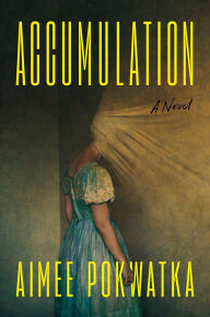 Title: Accumulation, Author: Aimee Pokwatka