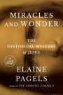 Miracles and Wonder: The Historical Mystery of Jesus