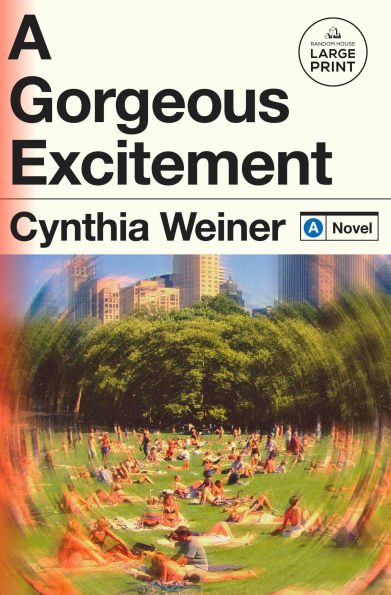 A Gorgeous Excitement: A Novel