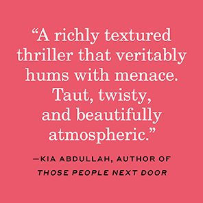 The Cleaner: A Novel