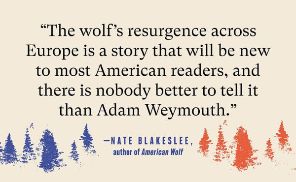 Lone Wolf: Walking the Line Between Civilization and Wildness