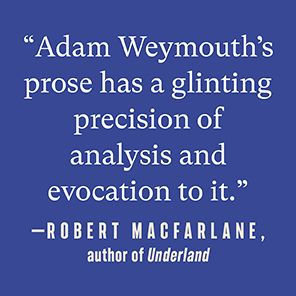 Lone Wolf: Walking the Line Between Civilization and Wildness