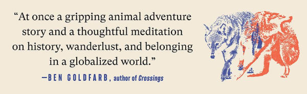 Lone Wolf: Walking the Line Between Civilization and Wildness