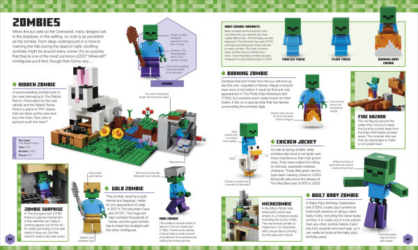 LEGO Minecraft Visual Dictionary: With an Exclusive Minifigure