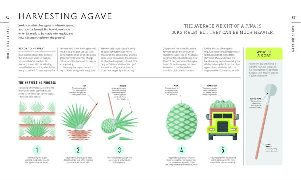 Tequila: A Tasting Course