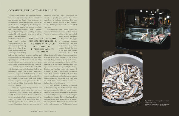 Silk Roads: A Flavor Odyssey with Recipes from Baku to Beijing