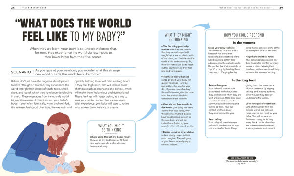 What's My Baby Thinking?: Practical Child Psychology for Modern Parents