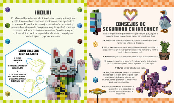 Minecraft Cada dia una idea (Idea a Day)