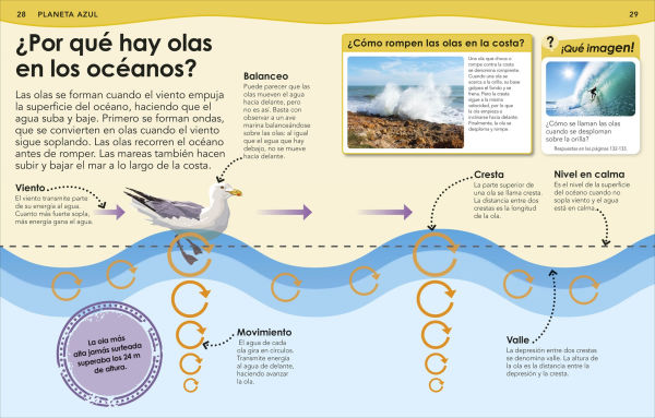 Â¿Sabias que? Oceanos (Did You Know? Ocean)