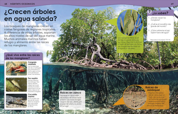 Â¿Sabias que? Oceanos (Did You Know? Ocean)