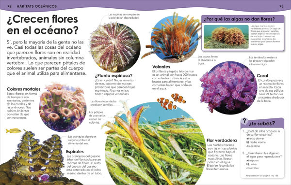 Â¿Sabias que? Oceanos (Did You Know? Ocean)